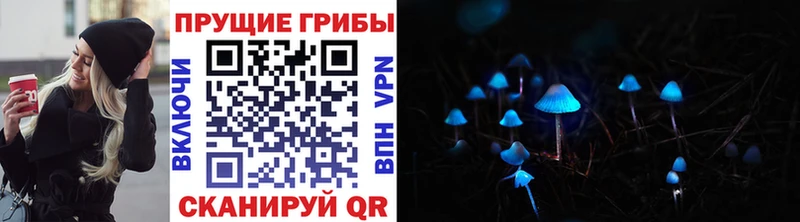 Псилоцибиновые грибы прущие грибы  сайты даркнета официальный сайт  Александровск 